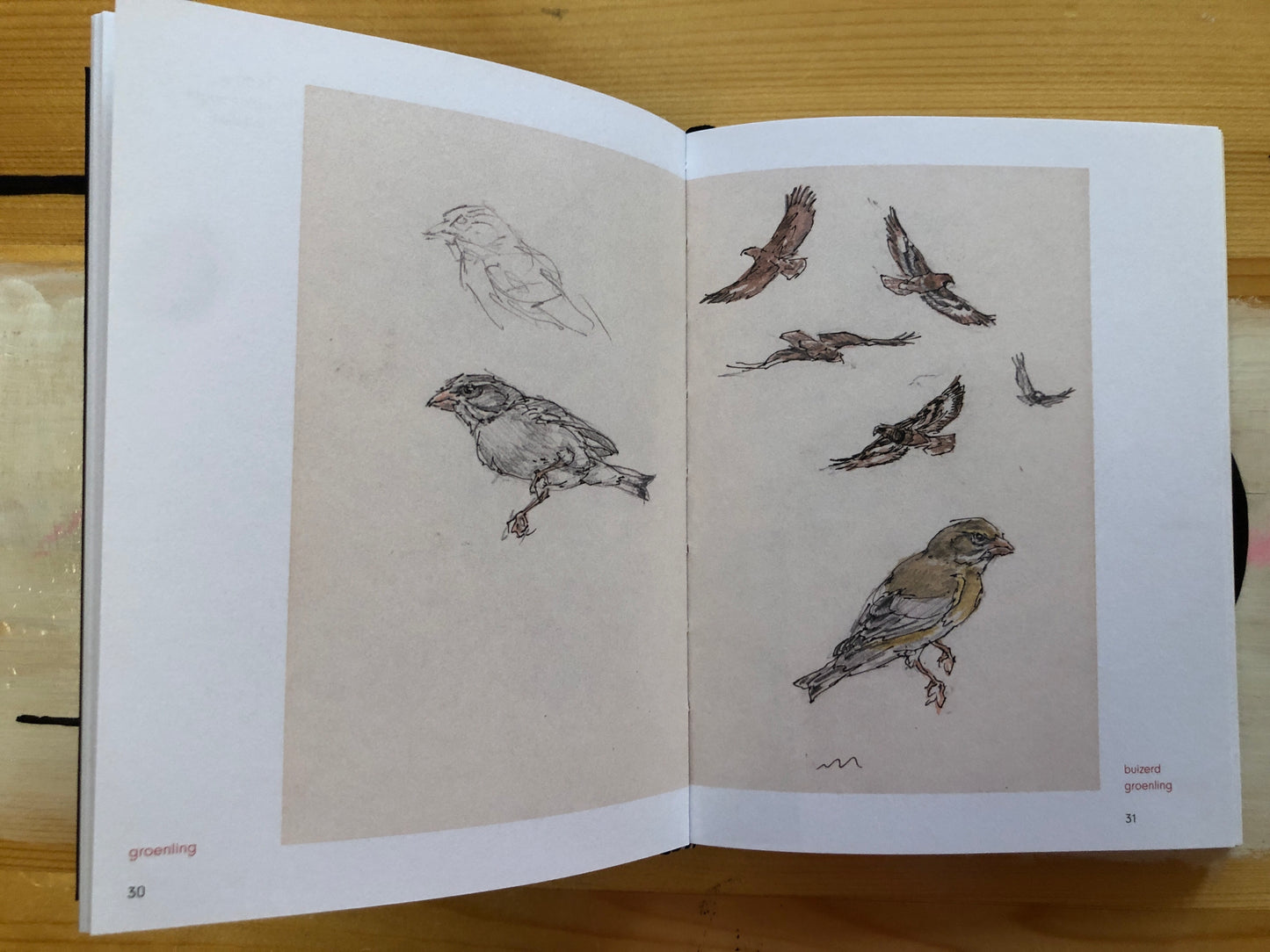 Bird book