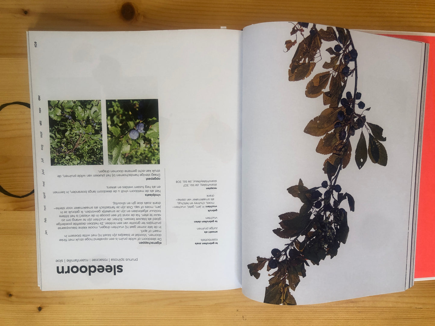 Cook book Van Boven in het Wild